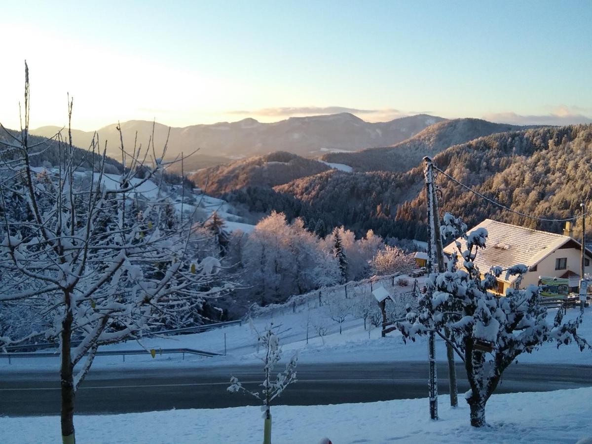 Apartment Jorsi With Mountain View Зрече Экстерьер фото